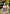 Kagura (019) (SR*) (UE23BT/IYS-1-019) - UE23BT Inuyasha Foil
