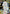 Kanna (022) (SR*) (UE23BT/IYS-1-022) - UE23BT Inuyasha Foil
