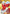 Inuyasha (043) (U*) (UE23BT/IYS-1-043) - UE23BT Inuyasha Foil