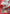 Inuyasha (046) (UE23BT/IYS-1-046) - UE23BT Inuyasha Foil