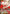 Inuyasha (046) (SR*) (UE23BT/IYS-1-046) - UE23BT Inuyasha Foil