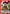 Koga (054) (UE23BT/IYS-1-054) - UE23BT Inuyasha Foil