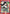 Kagome Higurashi (066) (UE23BT/IYS-1-066) - UE23BT Inuyasha Foil