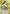 Kagome Higurashi (066) (SR**) (UE23BT/IYS-1-066) - UE23BT Inuyasha Foil