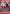 Barrier (UE23BT/IYS-1-078) - UE23BT Inuyasha