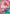 Because the Side of Justice Will Be Whichever Side Wins!! (CS 26-27 Celebration Pack) (OP05-037) - One Piece Promotion Cards Foil
