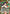 Kagome Higurashi (066) (SR*) (Box Topper Gold Foil) (UE23BT/IYS-1-066) - UE23BT Inuyasha Foil