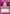 Sesshomaru's Mother (UEPR/IYS-1-010) - UE23BT Inuyasha Release Event Cards