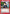 Miroku (069) (UEPR/IYS-1-069) - UE23BT Inuyasha Release Event Cards