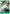 Roronoa Zoro (035) (OP17-035) - The World's Strongest Warriors