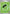 Basic Grass Energy (009) - Holofoil [MEE Mega Evolution Energies]