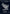 Birds of Paradise (0192) (SLZ-192) - Secret Lair x MSCHF: The Zeta Set
