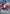 Dark Magical Curtain (Starlight Rare) (Extended Art) (MAMO-EN003) - Magnificent Monsters 1st Edition