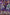 Dark Magician, the Pharaoh's Servant (Extended Art) (MAMO-EN001) - Magnificent Monsters 1st Edition
