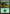 Forest (306) [Commander Anthology Volume II] - Magic: The Gathering - Card Brawlers | Quebec | Canada |