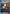 Hange Zoe (038) (UEX07BT/AOT-2-038) - UEX07BT Attack on Titan Vol 2