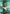 Forest (Borderless) (0395) (FRA-395) - Reality Fracture Foil