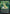 Kwia Vigorbloom (Showcase) (0410) (FRA-410) - Reality Fracture Foil
