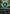 Overgrown Farmland (Borderless) (FRA-399) - Reality Fracture Foil