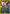 Sneasel (025/null) - Holofoil [ME 30th Celebration Classic Collection]