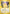 Pikachu (058/null) - Holofoil [ME 30th Celebration Classic Collection]