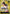 Monkey.D.Luffy (OP15-098) (Luffy Deck) (OP15-098) - Set Sail Deck Set Foil - Set Sail Deck Set - Card Brawlers | Quebec | Canada |