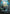 Omnipresence (Borderless) (0331) (FRA-331) - Reality Fracture