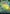 Gardenize (Showcase) (Fracture Foil) (0416) (FRA-416) - Reality Fracture Foil