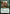Llanowar Elves (FDC-213) - Commander: Foundations