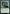 Whisperer of the Wilds (FDC-241) - Commander: Foundations