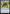 Patchwork Banner (FDC-279) - Commander: Foundations
