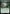 Omnipresence (PPFRA-110) - Promo Pack: Reality Fracture