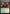 Overgrown Farmland (PPFRA-185) - Promo Pack: Reality Fracture