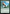 Explore [Avatar: The Last Airbender: Eternal-Legal] - Magic: The Gathering - Card Brawlers | Quebec | Canada |