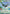 Origin Tree Shyyyo (Hyperspace) (417) - Homeworlds