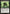 Marsh Hulk [Mystery Booster] - Magic: The Gathering - Card Brawlers | Quebec | Canada |