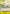 Hino Bird Zap (Luffy Deck) (OP05-116) - Set Sail Deck Set