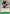 I Know You're Strong... So I'll Go All Out from the Very Start!!! (Tournament Pack 2026 Vol. 4) (OP13-040) - One Piece Promotion Cards