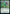 Charge Through [Strixhaven: School of Mages] - Magic: The Gathering - Card Brawlers | Quebec | Canada |