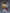Good Smile - Nendoroid - Doma - (PREORDER) November 15, 2026