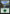 Forest (Lands) (573) [Secret Lair Drop Promos] - Magic: The Gathering - Card Brawlers | Quebec | Canada |