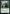 Yeva, Nature's Herald [Ravnica Remastered] - Magic: The Gathering - Card Brawlers | Quebec | Canada |