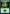 Forest (291) [Kamigawa: Neon Dynasty] - Magic: The Gathering - Card Brawlers | Quebec | Canada |