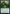 Elvish Archdruid [Duel Decks: Elves vs. Inventors] - Magic: The Gathering - Card Brawlers | Quebec | Canada |