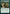 Fortifying Draught [Strixhaven: School of Mages] - Magic: The Gathering - Card Brawlers | Quebec | Canada |