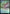 Earthquake Dragon [Commander Legends: Battle for Baldur's Gate Prerelease Promos] - Magic: The Gathering - Card Brawlers | Quebec | Canada |