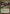 Tariel, Reckoner of Souls (Oversized) [Commander 2011 Oversized] - Magic: The Gathering - Card Brawlers | Quebec | Canada |