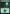 Forest (108) [Secret Lair Drop Series] - Magic: The Gathering - Card Brawlers | Quebec | Canada |