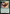 Spider-Man, Miles Morales [Marvel's Spider-Man: Eternal-Legal] - Magic: The Gathering - Card Brawlers | Quebec | Canada |