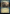 Rivendell [The Lord of the Rings: Tales of Middle-Earth Showcase Scrolls] - Magic: The Gathering - Card Brawlers | Quebec | Canada |